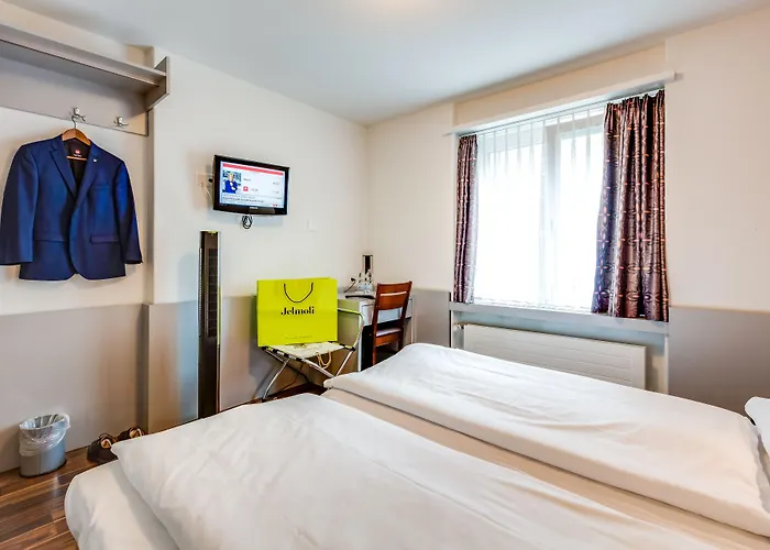 Alexander Guesthouse Zurich Old Town