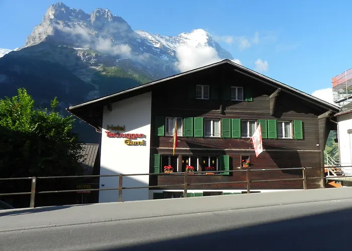 Tschuggen Apartment - No Kitchen Grindelwald