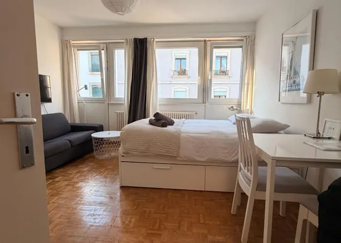 Central Geneva Studio With Free Travel Pass