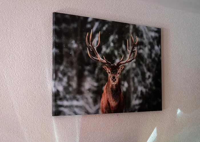 Aparthotel Le Vieux Valais à Ovronnaz