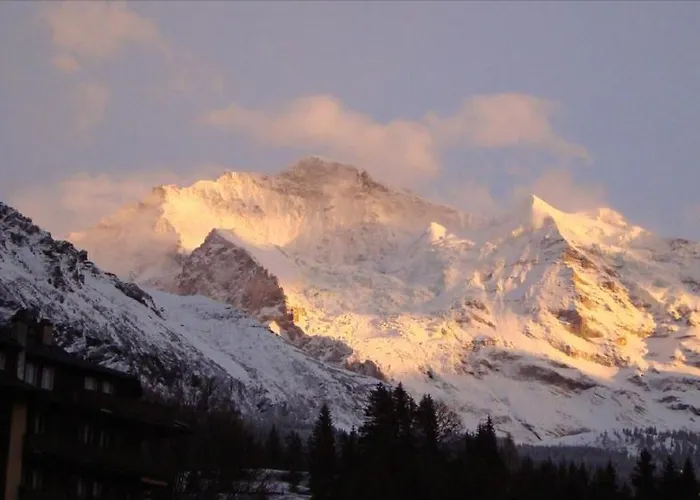 Private Chalet Tilia Villa Wengen
