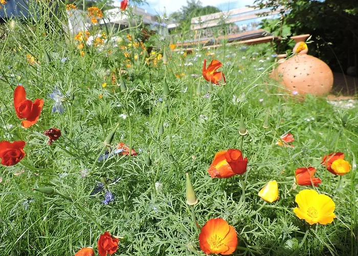 B&B Am Sonnenhuegel Baden