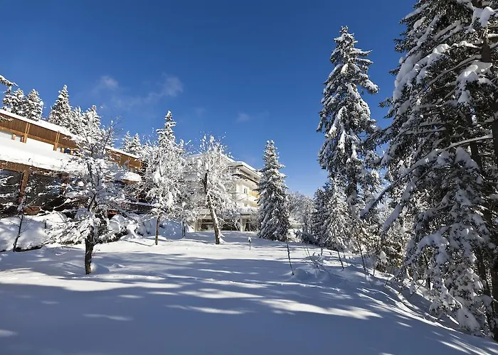 Hotel Alpina & Savoy Crans-Montana